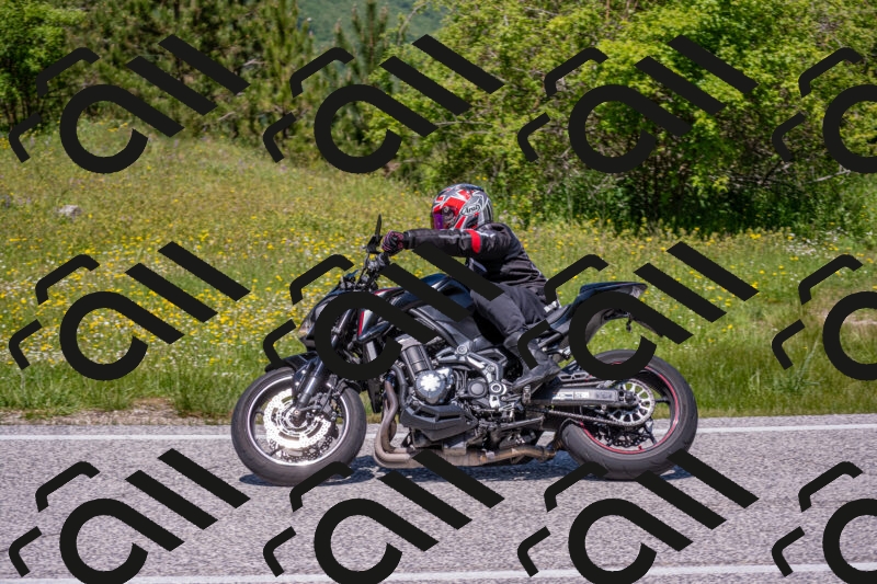 202506021228-DSC_8972_c4_