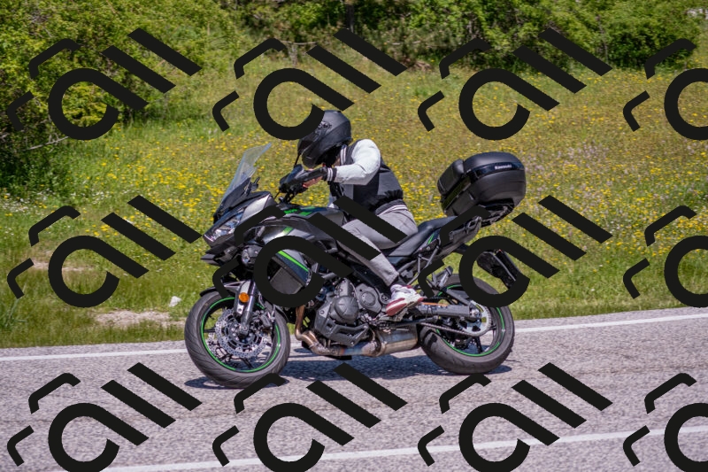 202506021228-DSC_8973_c4_