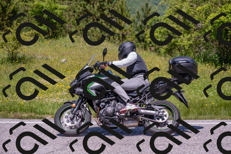 202506021228-DSC_8974_c4_