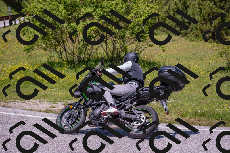 202506021228-DSC_8975_c4_