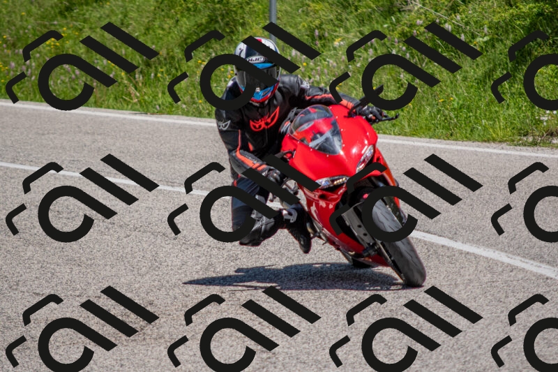 202506021228-DSC_8976_c4_