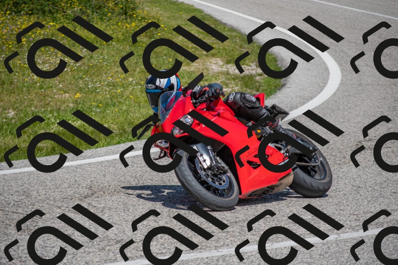 202506021228-DSC_8978_c4_