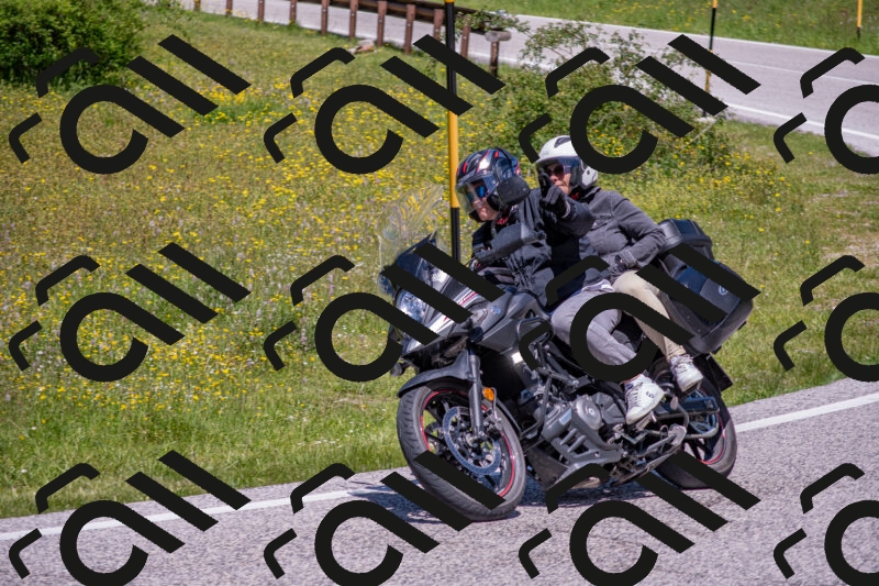 202506021229-DSC_8986_c4_