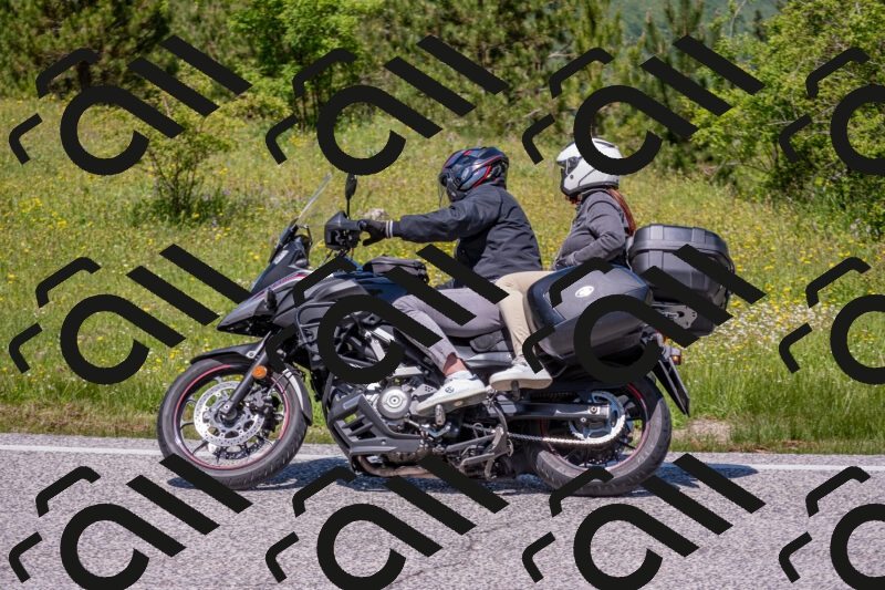 202506021229-DSC_8988_c4_