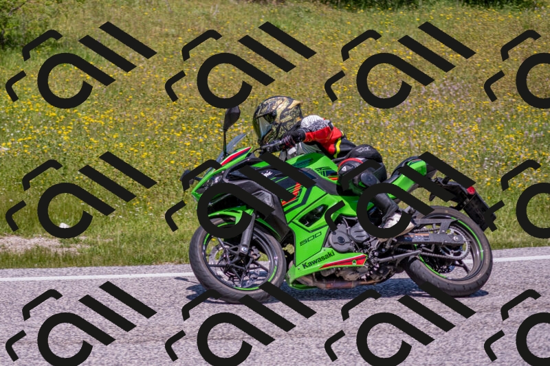 202506021229-DSC_8989_c4_