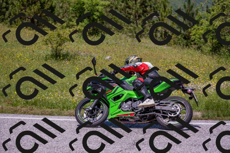 202506021229-DSC_8990_c4_