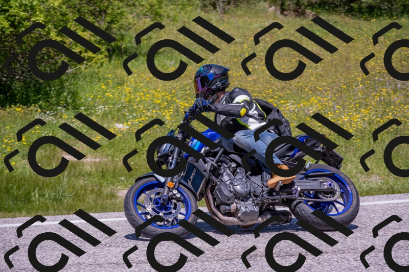 202506021229-DSC_8993_c4_