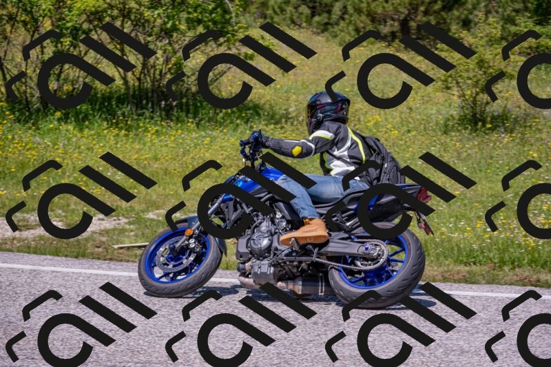 202506021229-DSC_8994_c4_