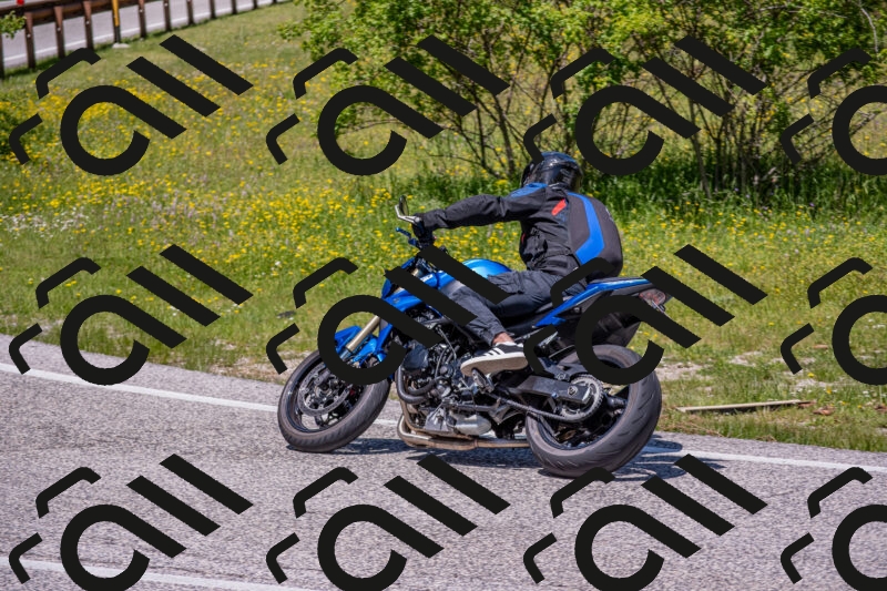 202506021229-DSC_8998_c4_