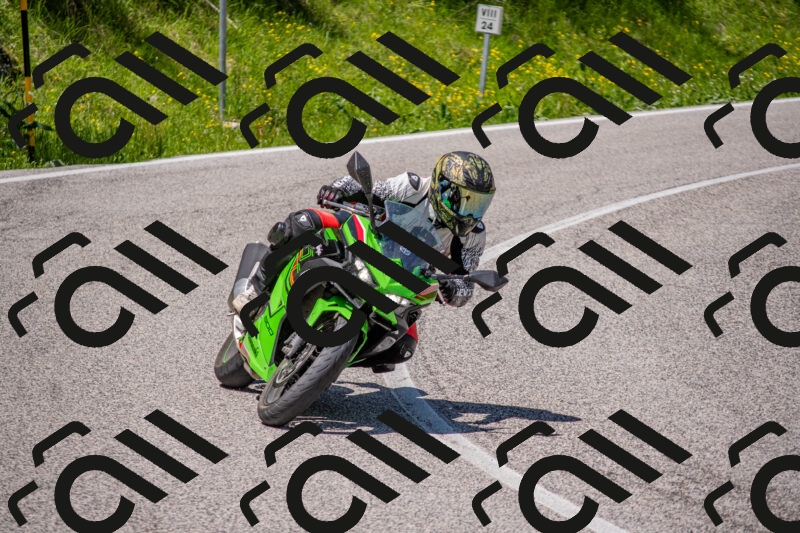 202506021229-DSC_9005_c4_