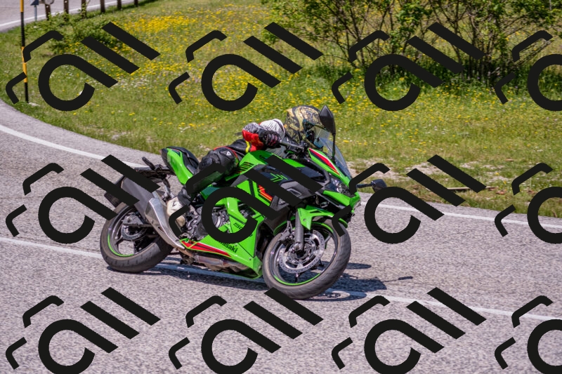 202506021229-DSC_9006_c4_