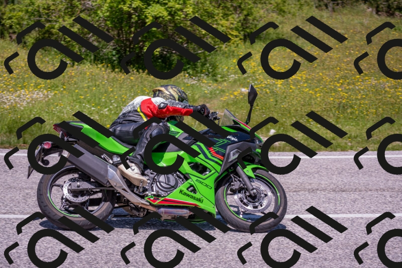 202506021229-DSC_9007_c4_