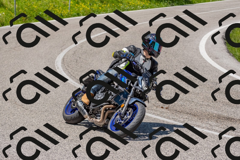 202506021230-DSC_9009_c4_