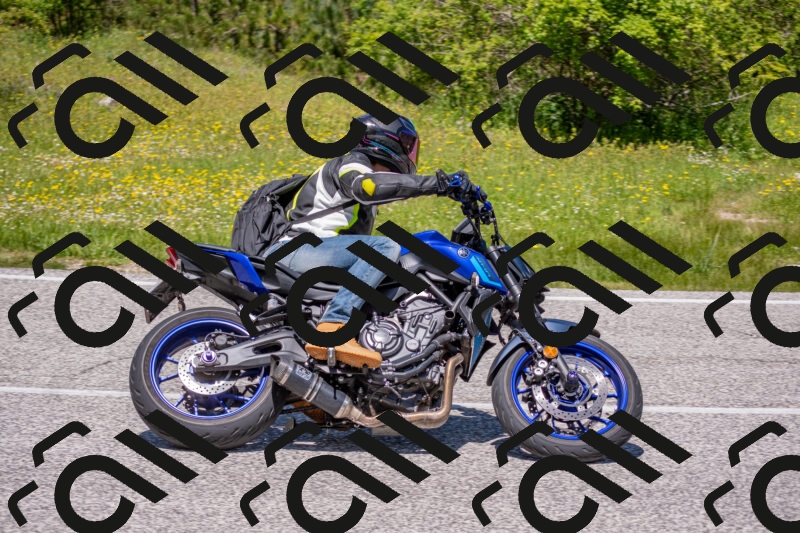 202506021230-DSC_9010_c4_