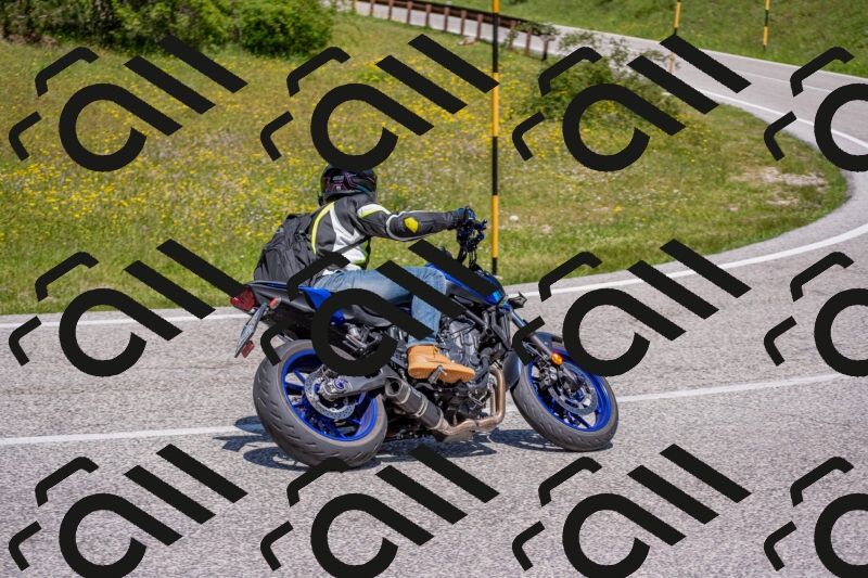 202506021230-DSC_9011_c4_