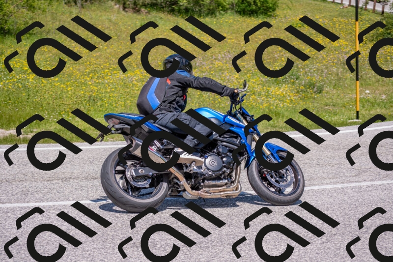 202506021230-DSC_9015_c4_