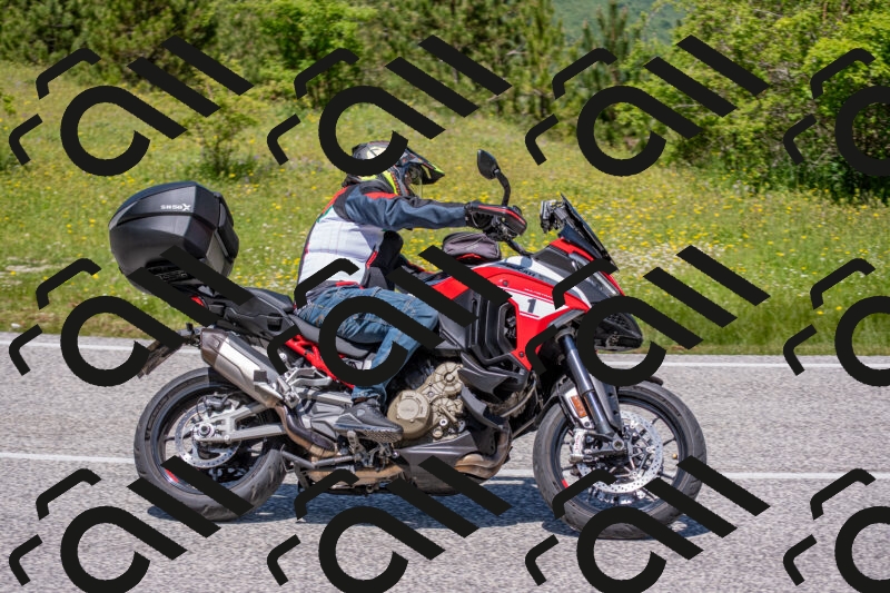 202506021230-DSC_9020_c4_