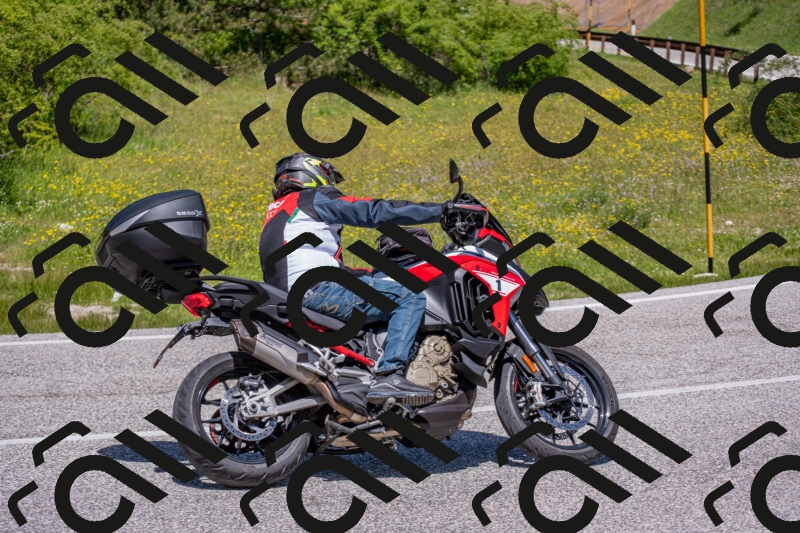 202506021230-DSC_9021_c4_