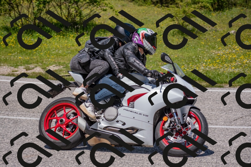 202506021230-DSC_9025_c4_