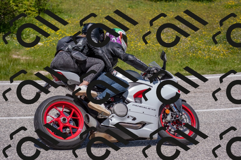 202506021230-DSC_9026_c4_