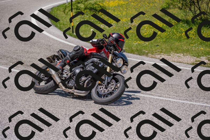 202506021231-DSC_9029_c4_