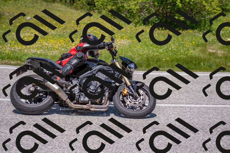 202506021231-DSC_9030_c4_