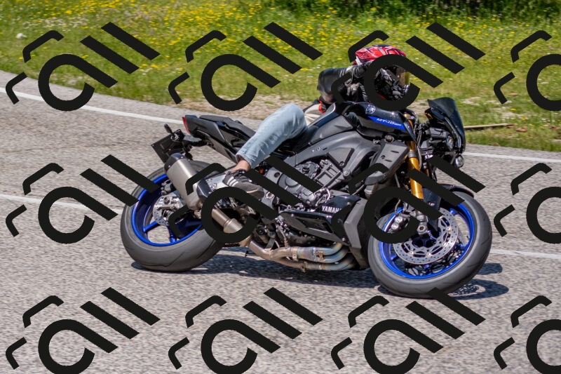 202506021231-DSC_9031_c4_