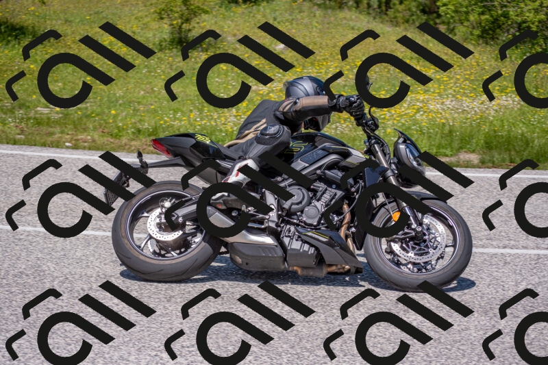 202506021231-DSC_9032_c4_