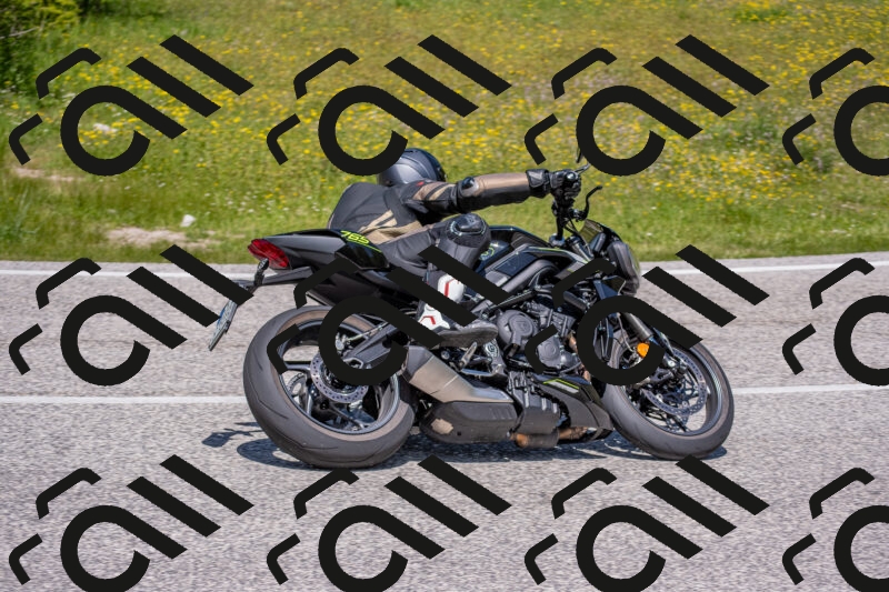 202506021231-DSC_9033_c4_