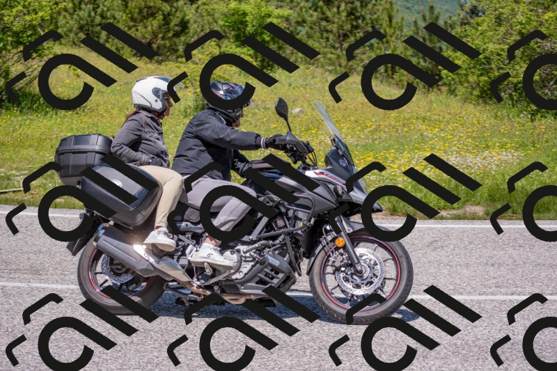 202506021231-DSC_9037_c4_