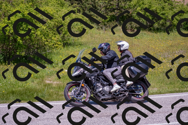 202506021232-DSC_9041_c4_