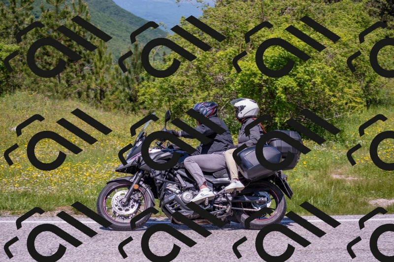 202506021232-DSC_9042_c4_