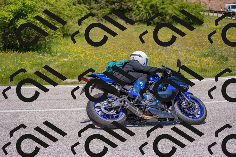 202506021232-DSC_9045_c4_