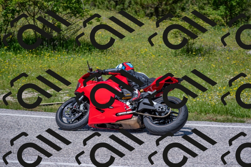 202506021233-DSC_9050_c4_