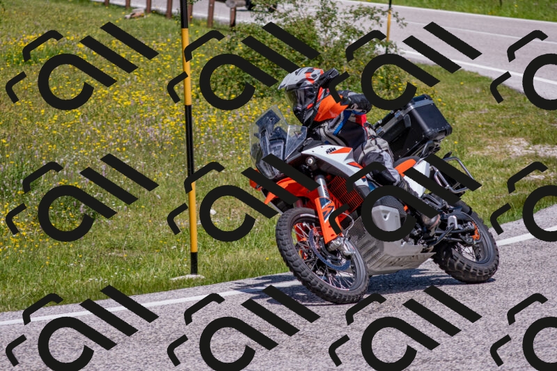 202506021233-DSC_9054_c4_