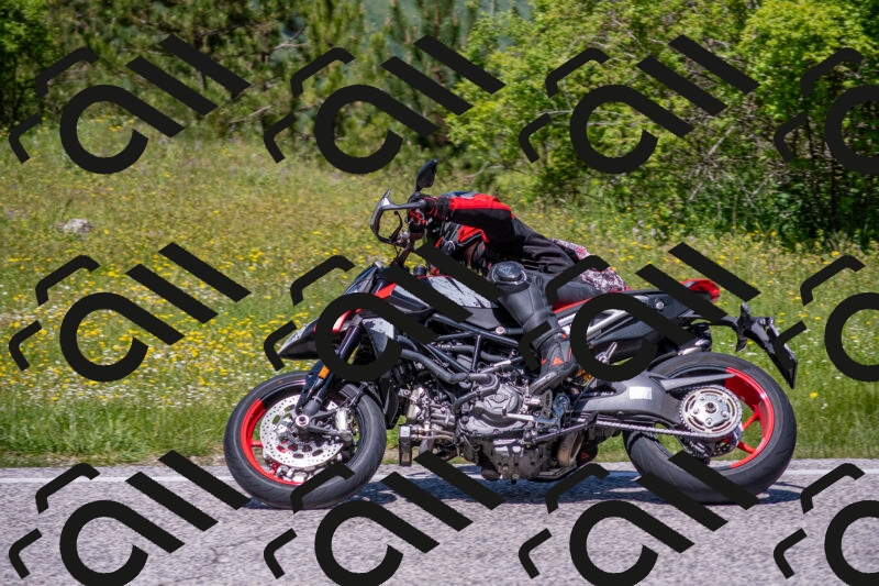 202506021233-DSC_9060_c4_