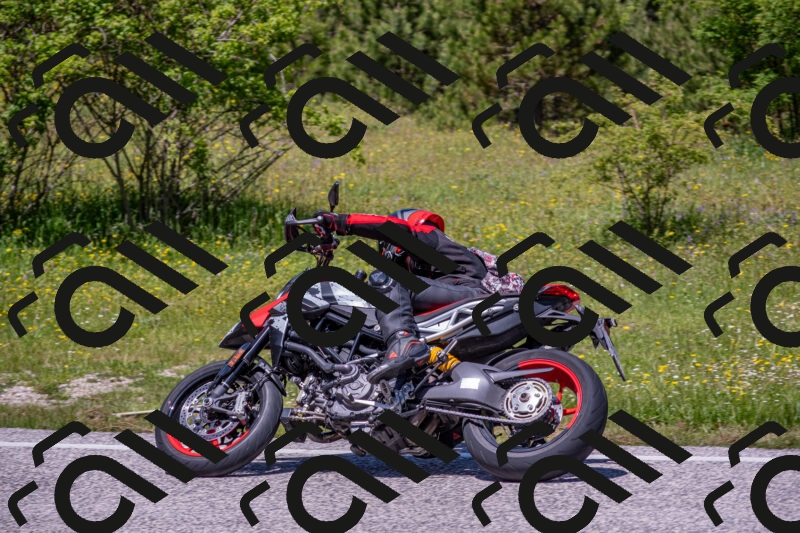 202506021233-DSC_9061_c4_