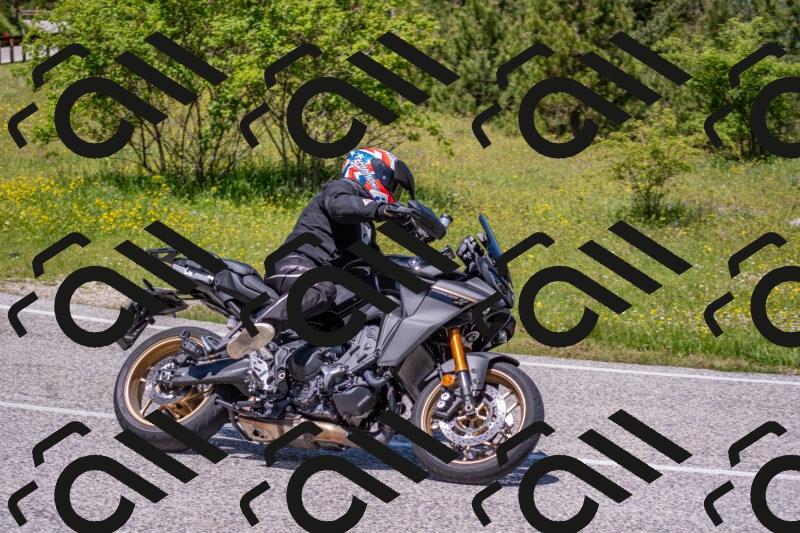 202506021233-DSC_9064_c4_