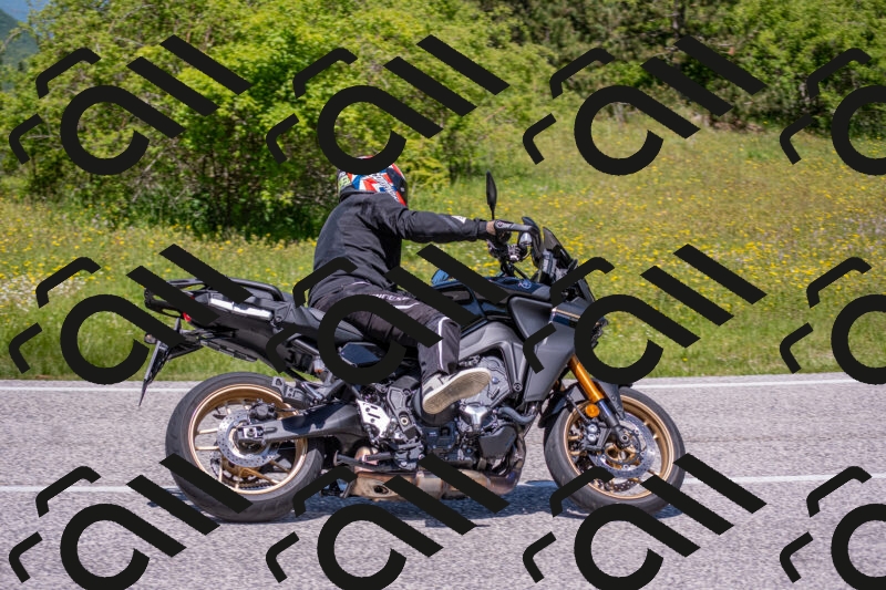 202506021233-DSC_9065_c4_