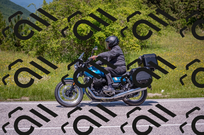 202506021233-DSC_9068_c4_