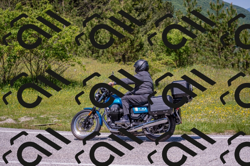 202506021233-DSC_9069_c4_