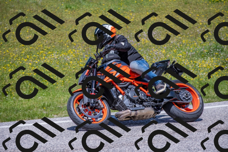 202506021235-DSC_9079_c4_