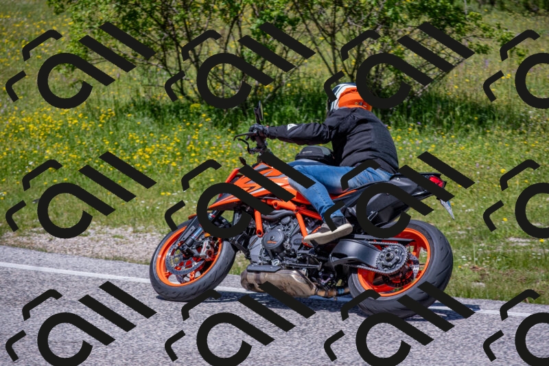 202506021235-DSC_9081_c4_