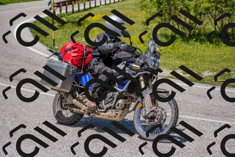 202506021235-DSC_9083_c4_