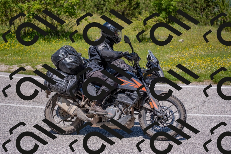 202506021235-DSC_9086_c4_