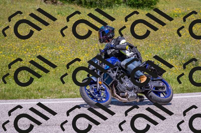 202506021235-DSC_9093_c4_