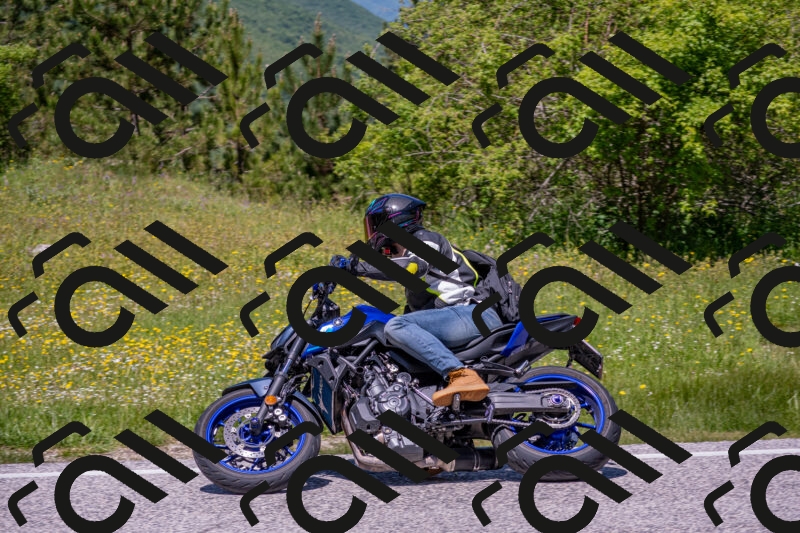 202506021235-DSC_9094_c4_