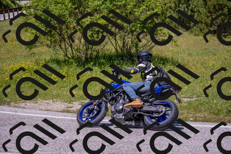 202506021235-DSC_9095_c4_