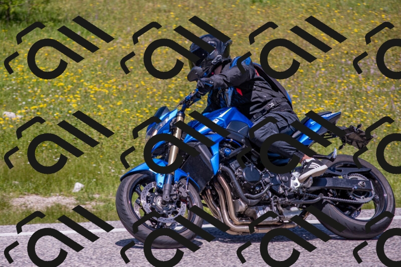 202506021235-DSC_9097_c4_