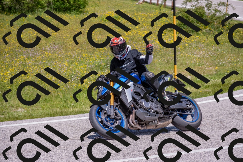 202506021235-DSC_9101_c4_